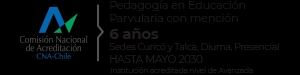Información sobre un programa de pedagogía en educación parvularia en Chile.