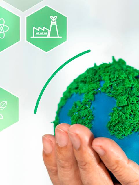 Una mano sostiene un globo terráqueo cubierto de vegetación, simbolizando la sostenibilidad y el cuidado del medio ambiente.