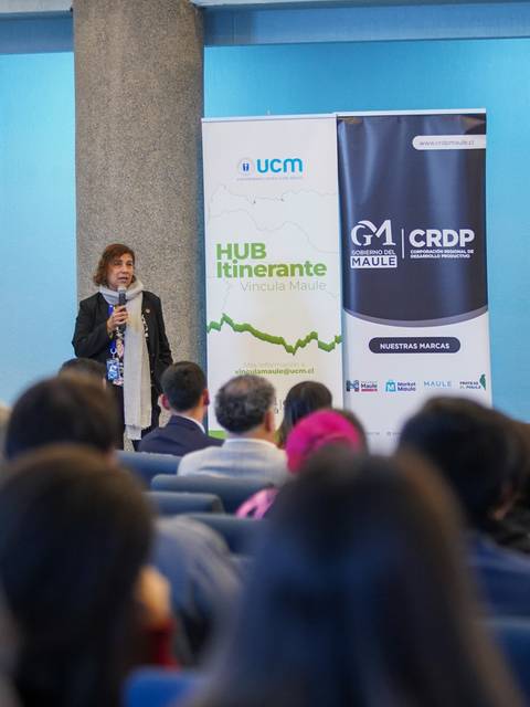 Una profesional presentando en un evento sobre desarrollo en Chile.