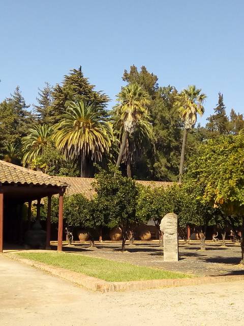 Una vista de un patio con una construcción de estilo colonial rodeada de palmeras y vegetación.