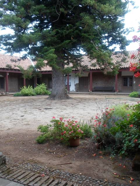 Un patio interior con un gran árbol y flores alrededor, rodeado de paredes de adobe y un techo de tejas.