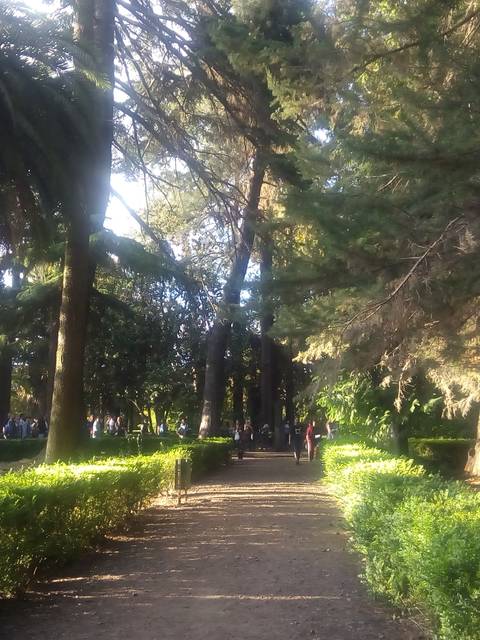 Una senda arbolada en un parque con personas caminando entre la vegetación.
