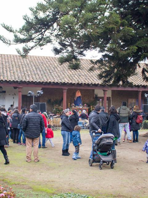 Una multitud disfrutando de un evento al aire libre en un patio con árboles y edificios alrededor.