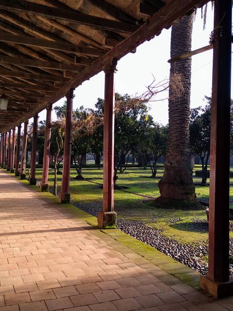 Un corredor con columnas de madera y un jardín verde al fondo.