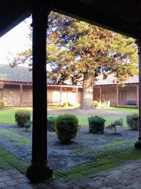 Vista del patio de un edificio con columnas y un árbol en el centro.
