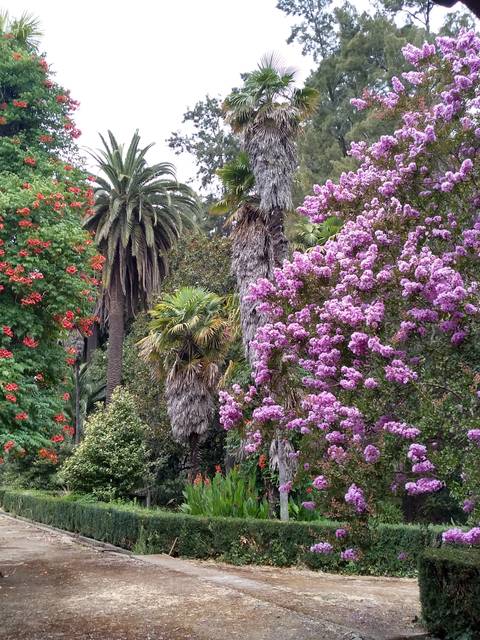 Un hermoso jardín con árboles y flores de colores vibrantes.