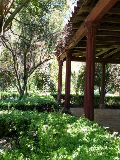 Una vista de un patio con vegetación exuberante y una estructura de madera en el fondo.