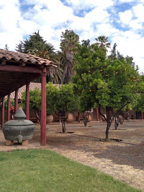 Una vista de un patio con árboles frutales y una construcción tradicional.