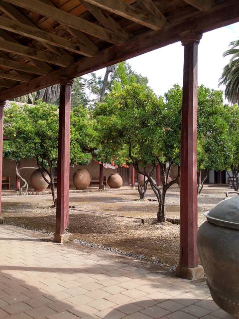 Una vista de un patio con árboles y grandes tinajas de barro bajo un refugio de madera.