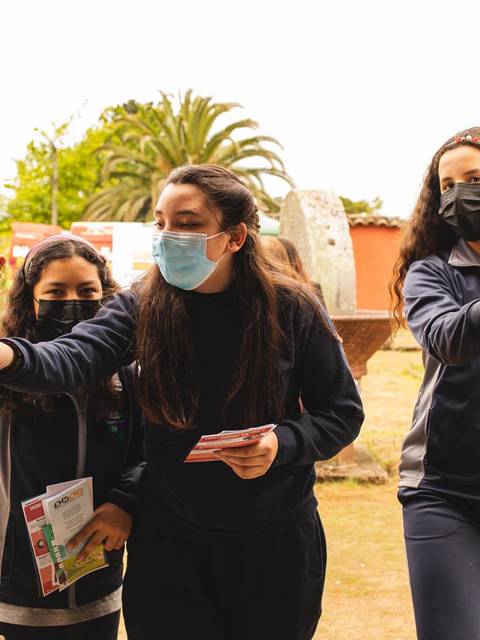 Un grupo de jóvenes revisa libros en estanterías al aire libre.