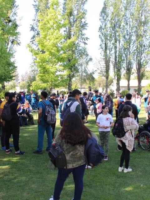 Un grupo de personas se reúne en un parque rodeado de árboles.