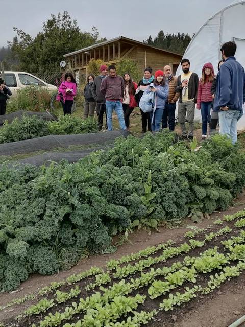 Un grupo de personas observa un huerto con hortalizas en un día nublado.