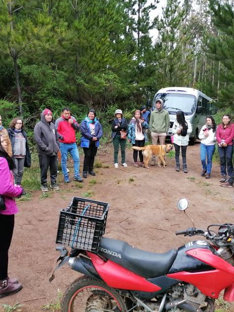 Un grupo de personas se reúne en un bosque mientras un hombre habla frente a ellos.