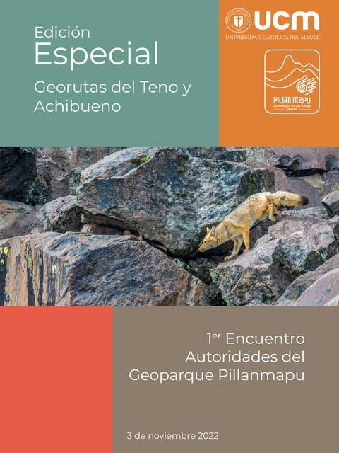Portada de una publicación sobre georutas en el Geoparque Pillanmapu, con un fono de rocas y un zorro.
