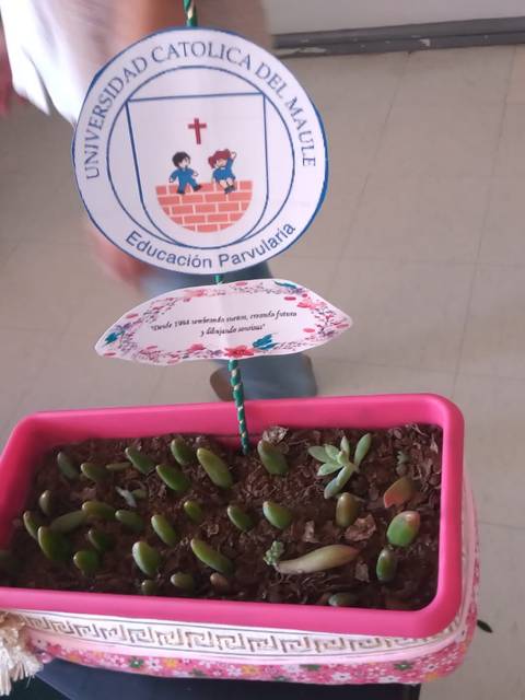 Una maceta decorativa con suculentas, acompañada del logo de la Universidad Católica del Maule.