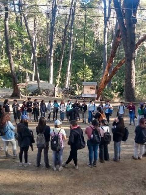 Un grupo de personas en un bosque formando un círculo.