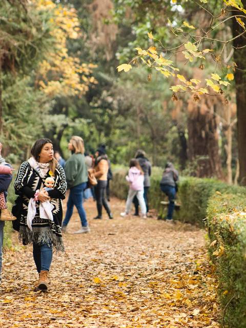 Un grupo de personas camina por un sendero cubierto de hojas en un bosque durante el otoño.