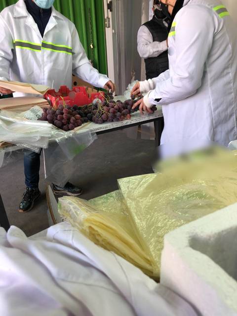 Un grupo de personas en un entorno de trabajo manipulan uvas y otros productos en una mesa.