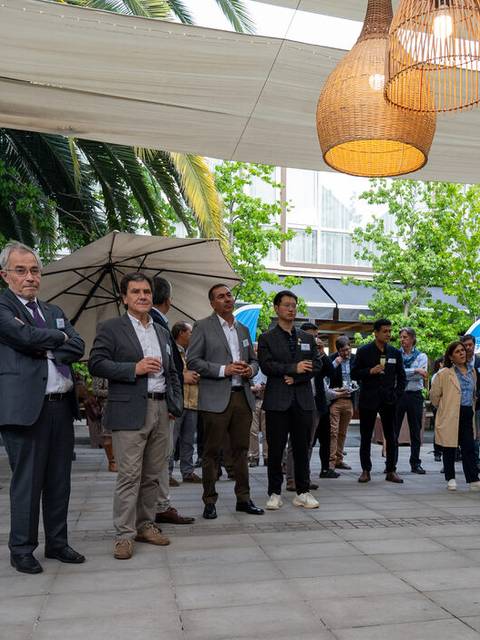 Un grupo de personas se reúne al aire libre, rodeado de palmeras y bajo una estructura con toldos.