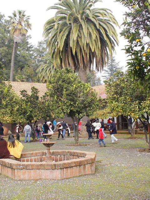 Un grupo de personas se reúne en un jardín con árboles frutales y una fuente en el centro.