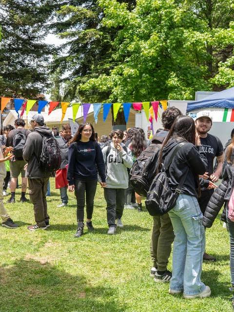 Una multitud de personas se reúne en un evento al aire libre adornado con banderas de colores.