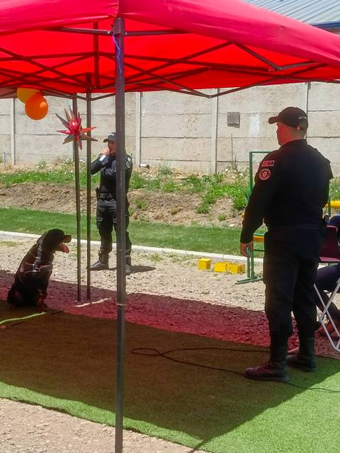 En la imagen se observa un evento al aire libre con un perro y varias personas bajo toldos rojos.