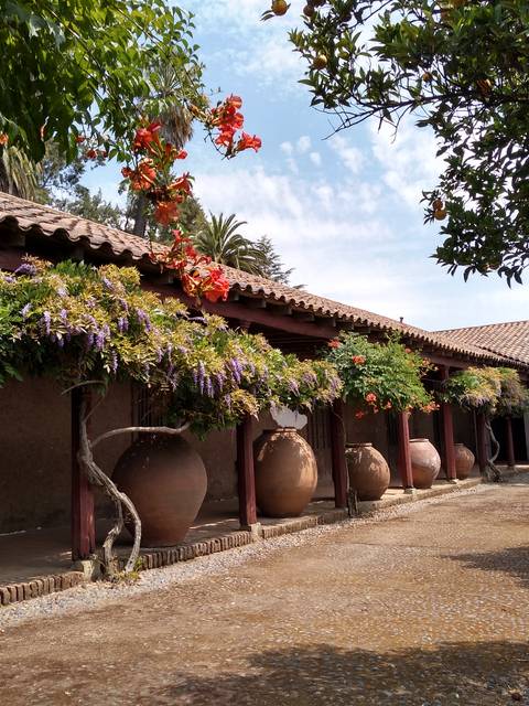 Una vista de un patio con macetas ornamentales y jarrones de barro.