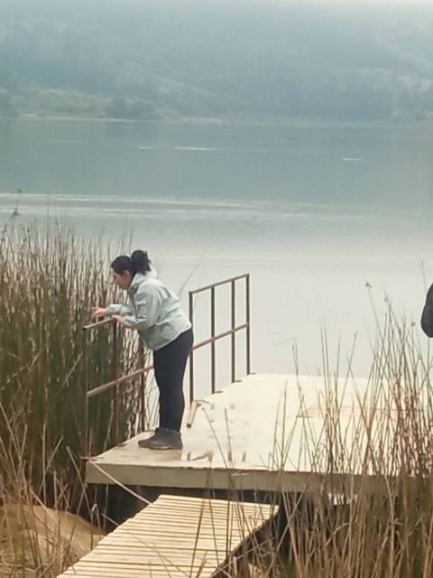 Dos personas están en un muelle junto a un lago rodeado de vegetación.