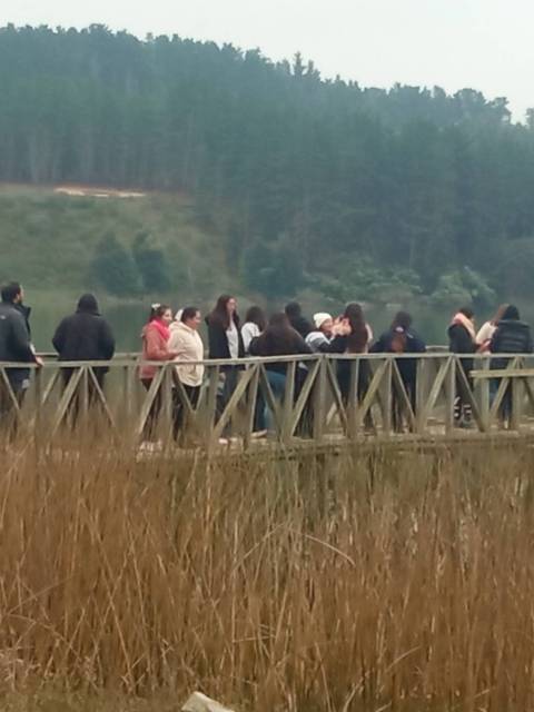 Un grupo de personas está en un muelle junto a un lago rodeado de vegetación.