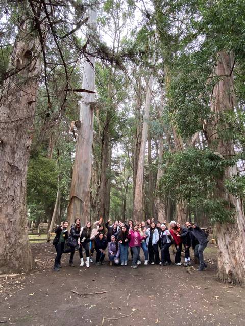 Un grupo de personas posando en un bosque rodeado de altos eucaliptos.