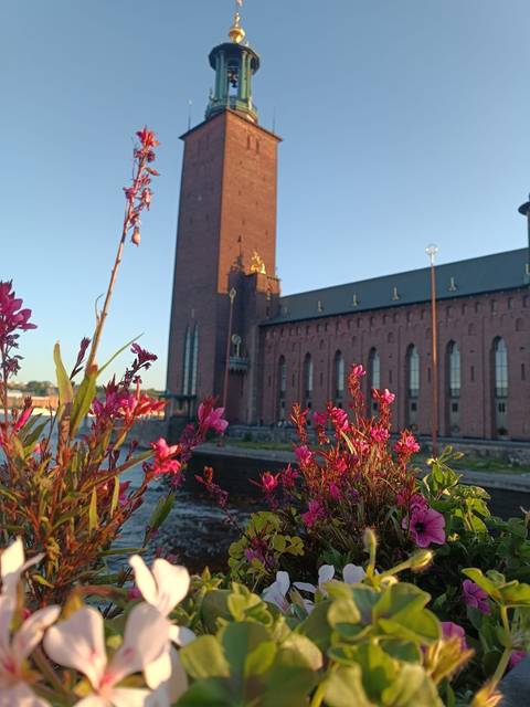 Una vista de un edificio arquitectónico con flores de colores vibrantes en primer plano.