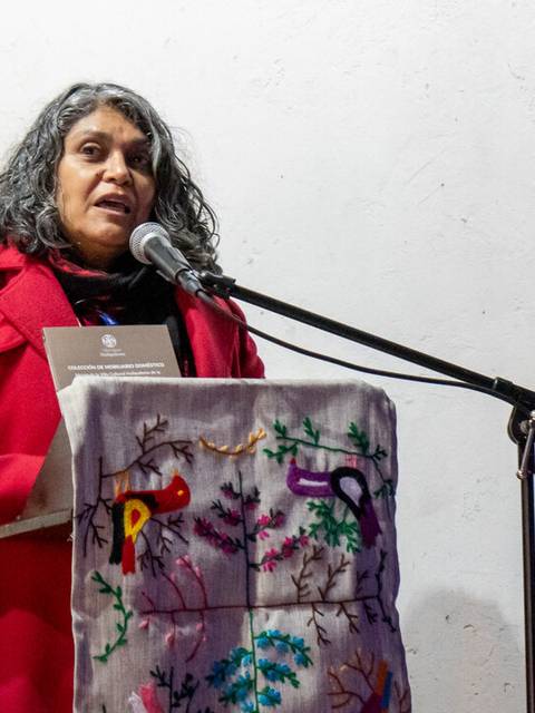 Una mujer con cabello rizado y suelto habla frente a un micrófono mientras sostiene un documento en la mano.