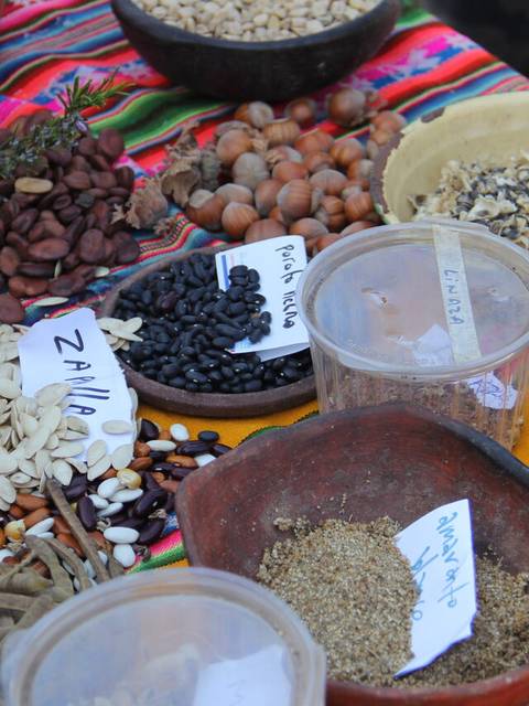 Diversos tipos de semillas y especias dispuestos en un mantel colorido.