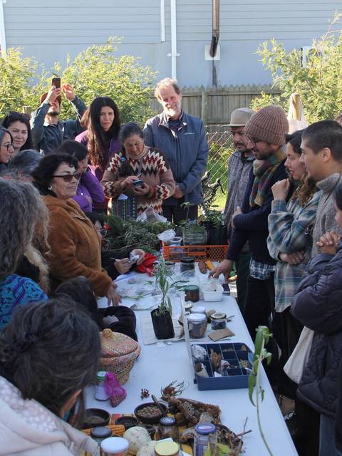 Un grupo de personas participa en un taller al aire libre, rodeados de plantas y productos naturales.