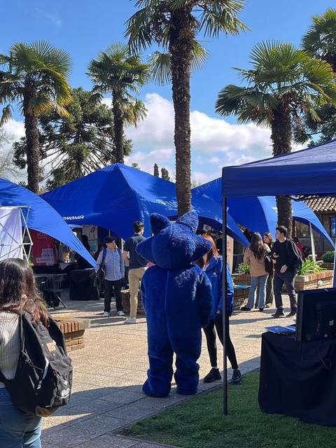 Un evento al aire libre con carpas azules y varias personas interaccionando en un ambiente festivo.