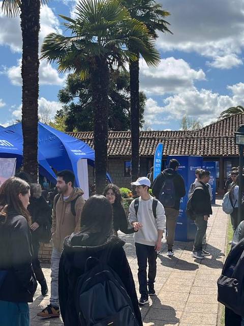 Un grupo de personas asiste a un evento al aire libre rodeado de carpas y palmeras bajo un cielo parcialmente nublado.