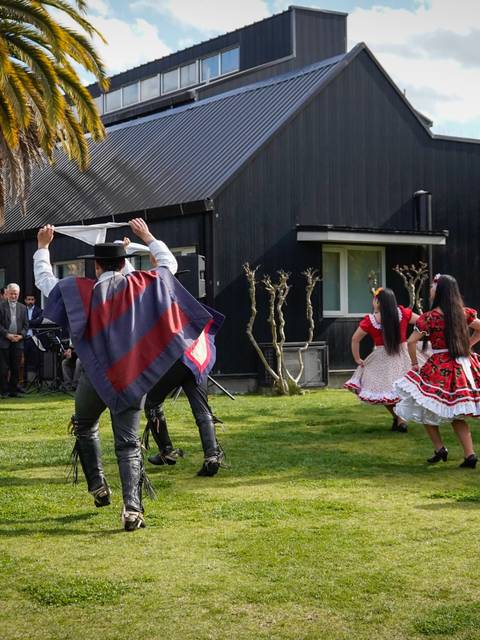 Un grupo de personas baila en un evento al aire libre, rodeado de palmeras y espectadores.