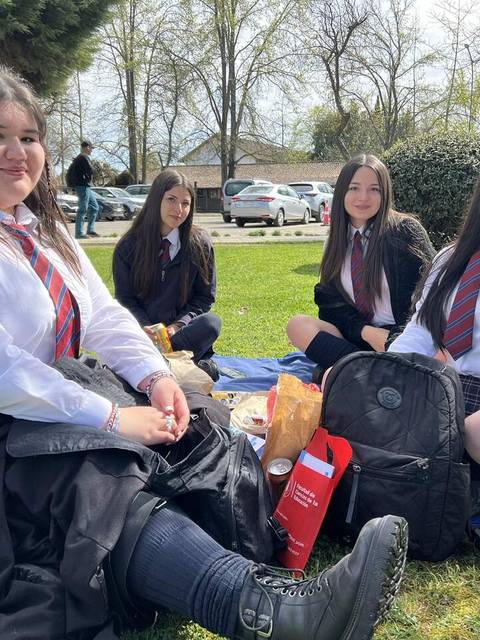 Un grupo de cuatro estudiantes se relajan en el campo, disfrutando de un picnic en un día soleado.