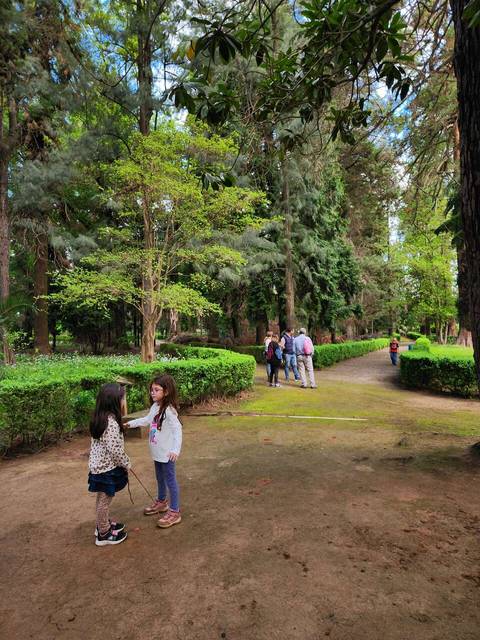 Dos niñas juegan en un parque rodeado de árboles y senderos.
