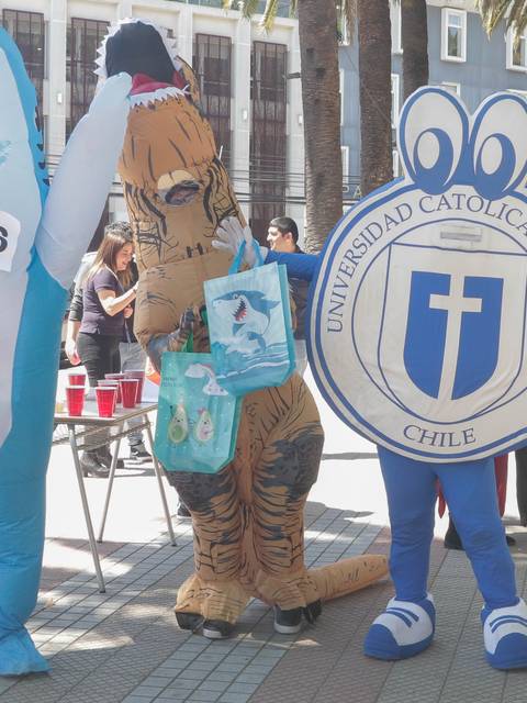 Un grupo de personas disfrazadas de un tiburón, un dinosaurio y un escudo de la Universidad Católica de Maule en una calle.