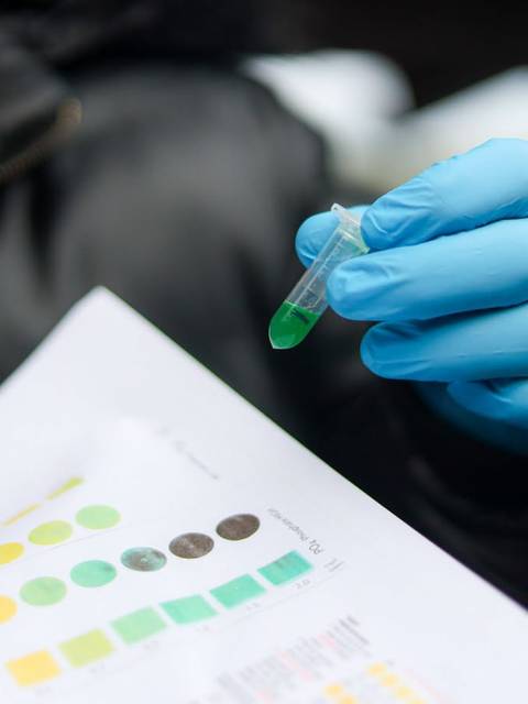 Un cabro chico sostiene un tubo de ensayo con un líquido verde mientras revisa una hoja con diferentes colores.