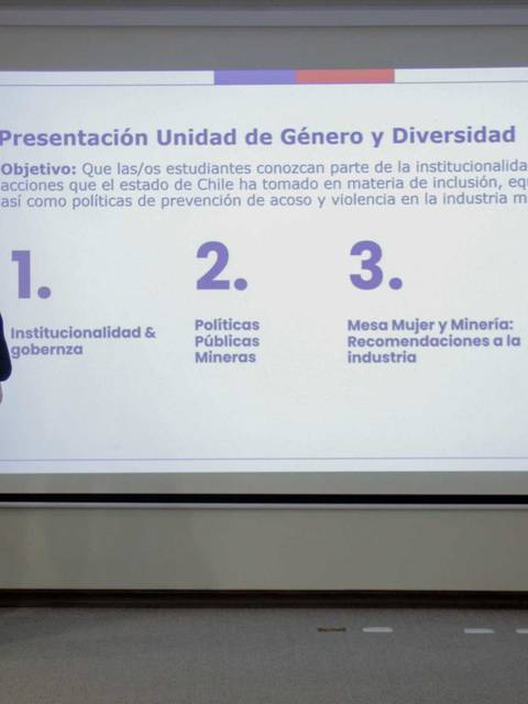 Una persona presenta sobre la Unidad de Género y Diversidad en una sala de conferencias.