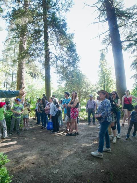 Un grupo de personas escucha atentamente a un guía en un bosque.