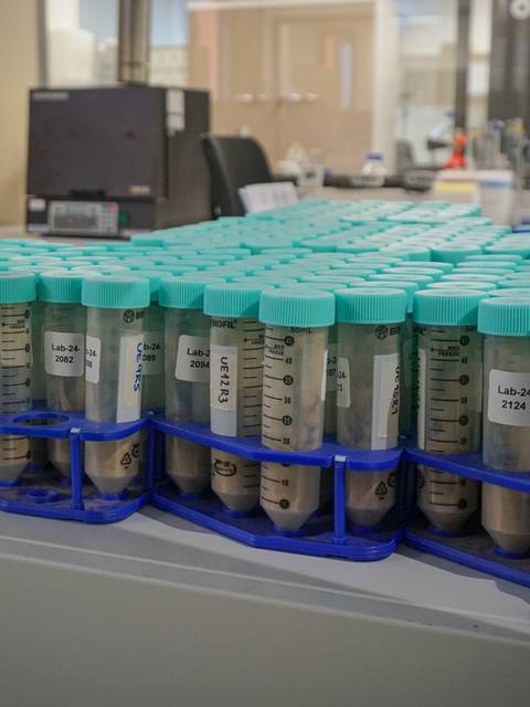 Una serie de tubos de ensayo organizados en un estante en un laboratorio.