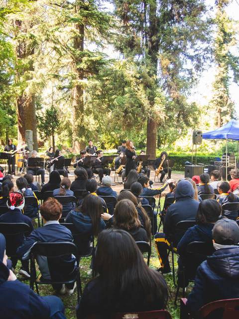 Un grupo de personas asiste a un concierto al aire libre rodeado de árboles.