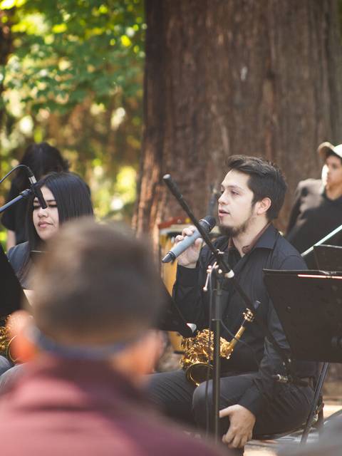 Un grupo de músicos se presenta en un entorno natural durante un espectáculo al aire libre.
