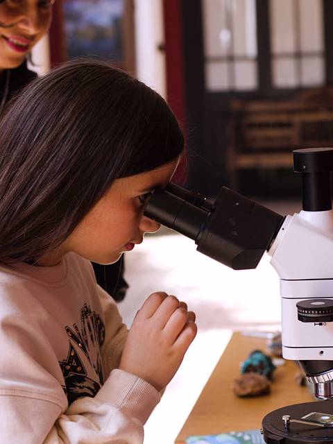 Una niña observa a través de un microscopio en una sala con objetos científicos.