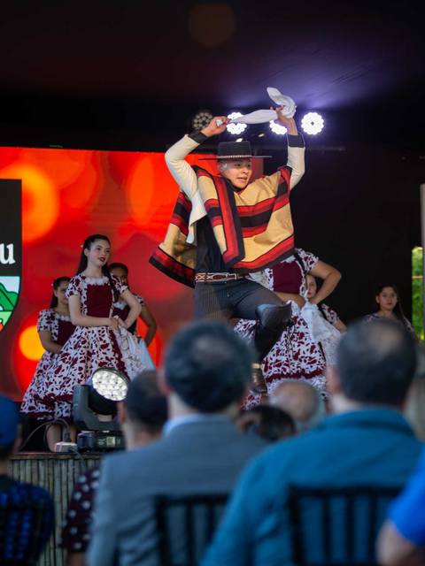 Una presentación de danza folclórica durante la 25ª Feria de Huilquilemu.