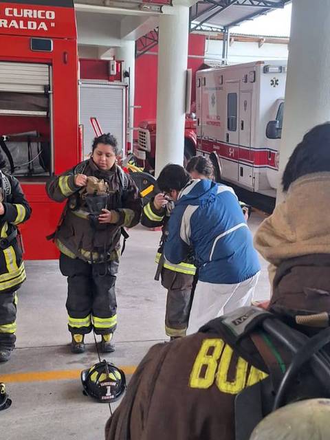 Un grupo de bomberos en la estación preparándose antes de salir a atender una emergencia.