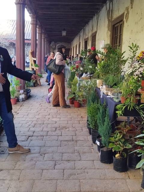 Una feria de plantas con gente conversando y muchos maceteros al aire libre.